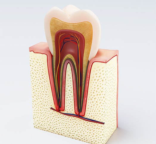 root canal treatment procedure melbourne cbd