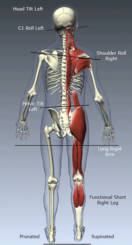 tmd symptoms and signs 1 melbourne cbd